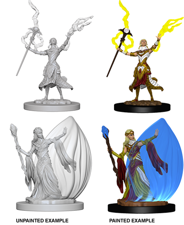 Elf Wizard Female A - Nolzur's Marvelous Miniatures