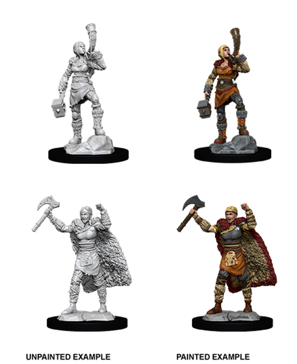 Human Barbarian Female - Nolzur's Marvelous Miniatures