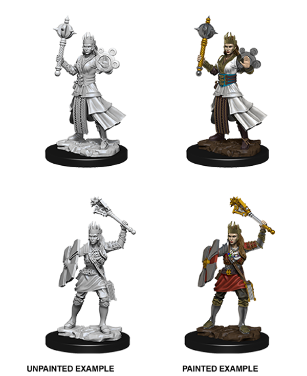 Human Cleric Female - Nolzur's Marvelous Miniatures