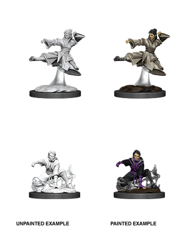 Human Monk Female - Nolzur's Marvelous Miniatures