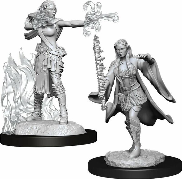 Multiclass Warlock + Sorcerer Female - Nolzur's Marvelous Miniatures