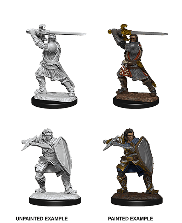 Human Paladin Male D - Nolzur's Marvelous Miniatures