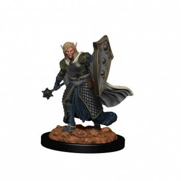 Elf Cleric Male - Icons of the Realms Premium Figures