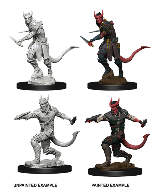Tiefling Rogue Male - Nolzur's Marvelous Miniatures