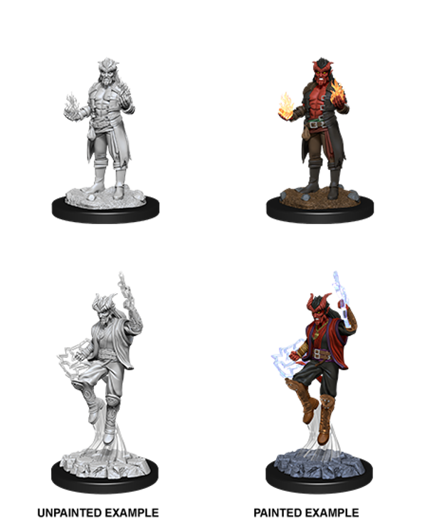 Tiefling Sorcerer Male B - Nolzur's Marvelous Miniatures