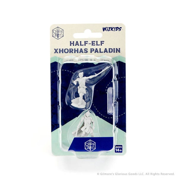 Half-Elf Paladin Xhorhas Female - Critical Role