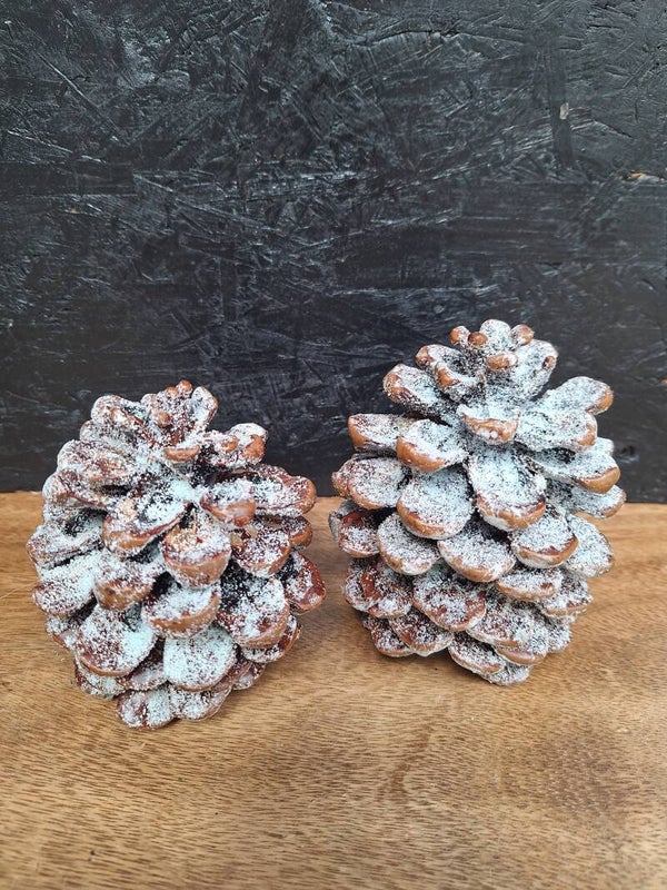 Dennen appels |Dennengeur | Kaneelgeir