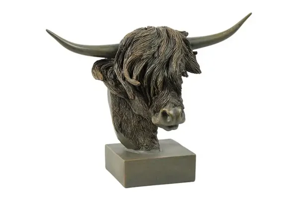 Countryfield Schotse hooglander Dorkas | Bruin