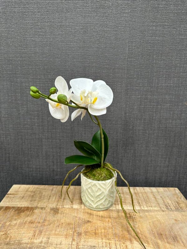 Phalaenopsis plant maat S wit in pot | Kunstplant |
