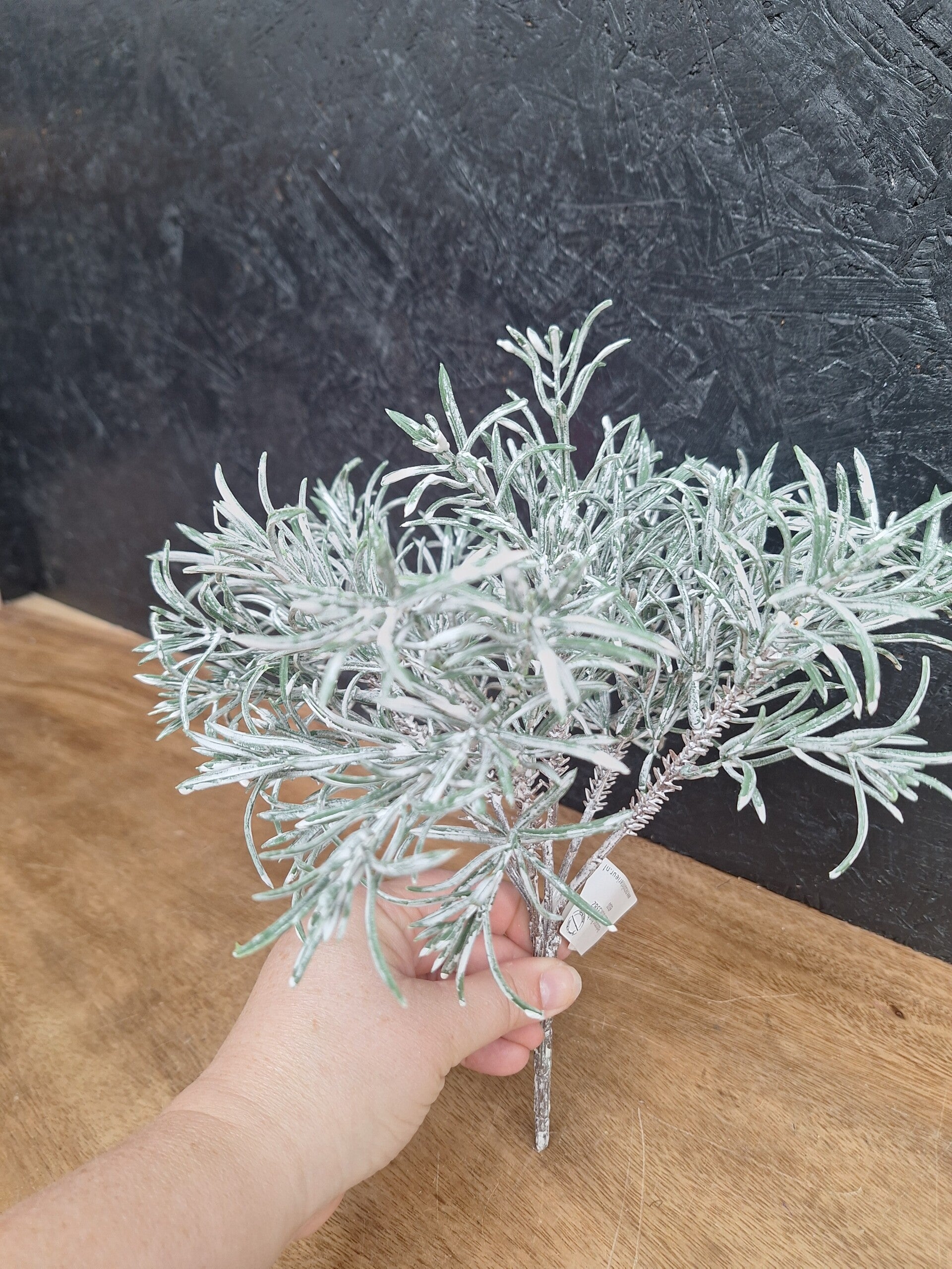 Podocarpus Bush x7 29cm