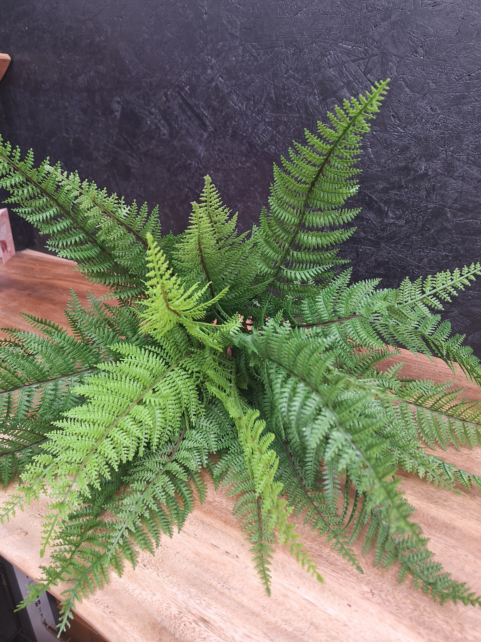 Leather Fern Bush 68cm UV