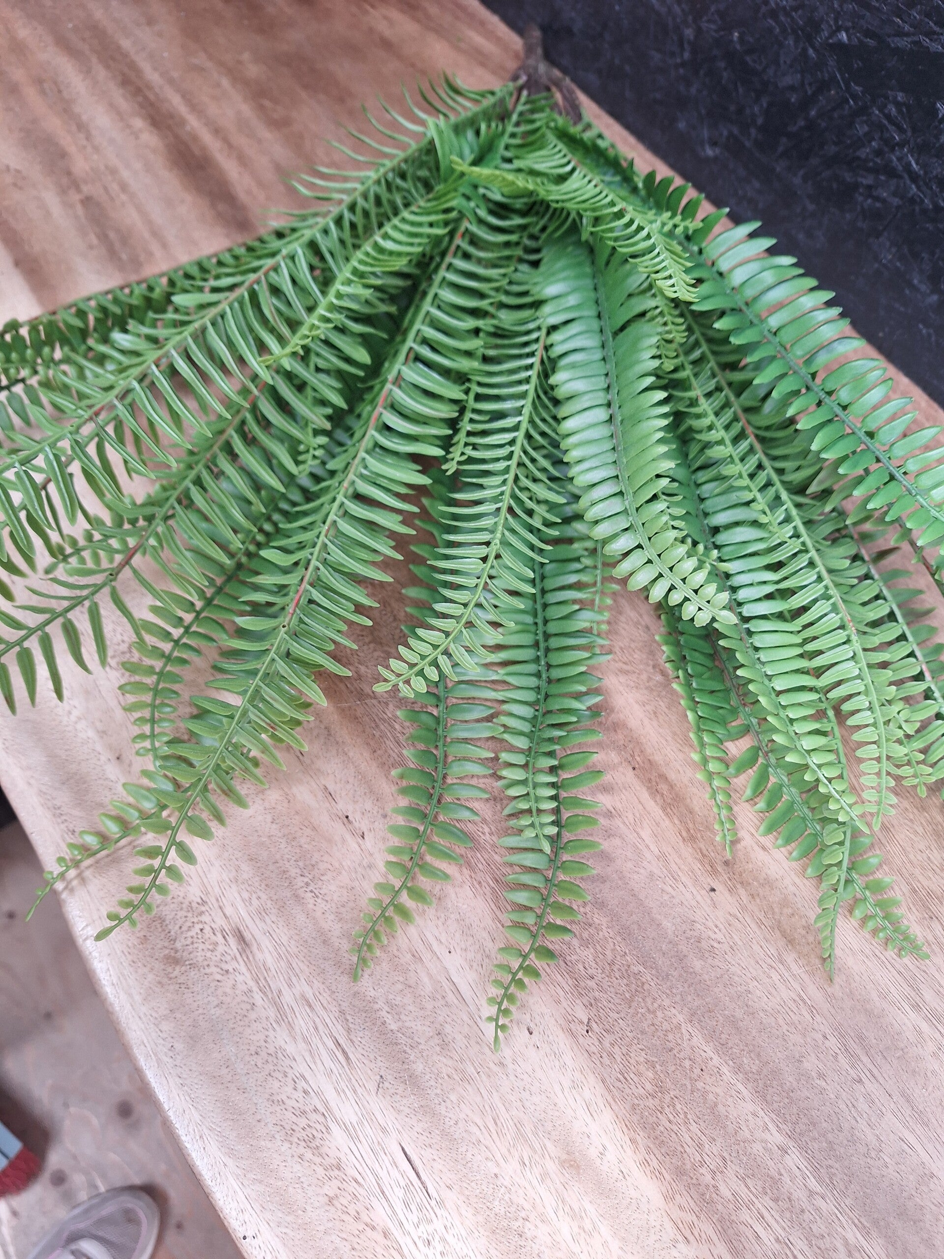 Boston Fern Bush 64cm UV