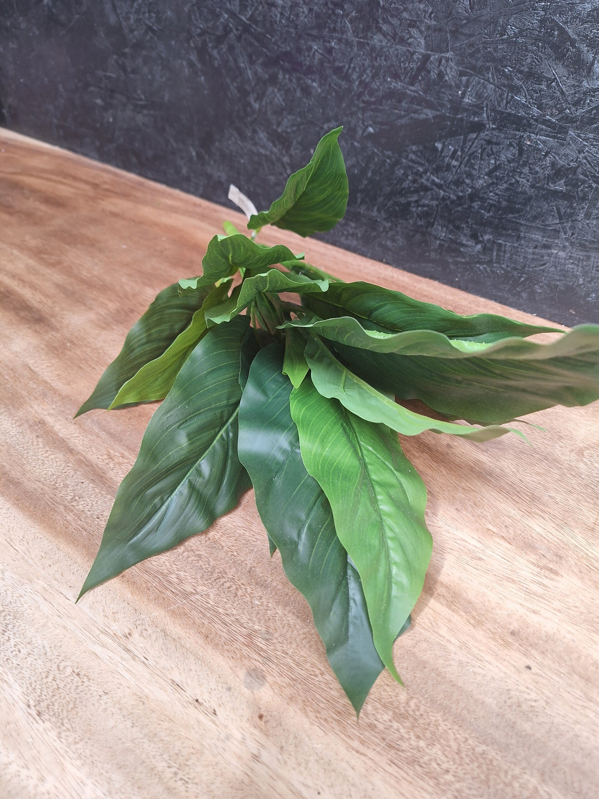 Spathiphyllum Leaf Bush 50cm