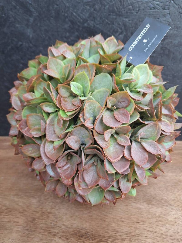 Bal eucalyptus L groen/roze