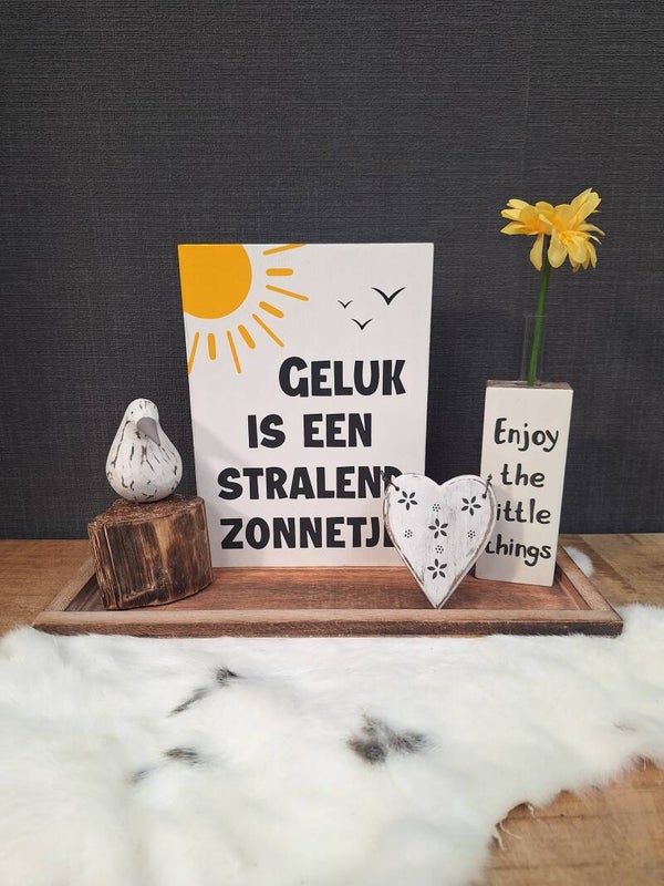 Complete set Stralend zonnetje