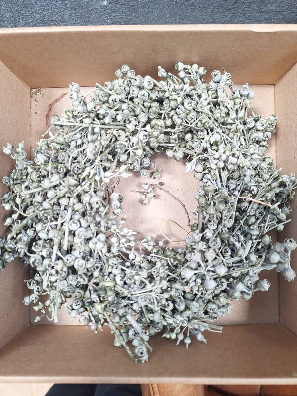 Exotica wax krans | Ø 20 cm