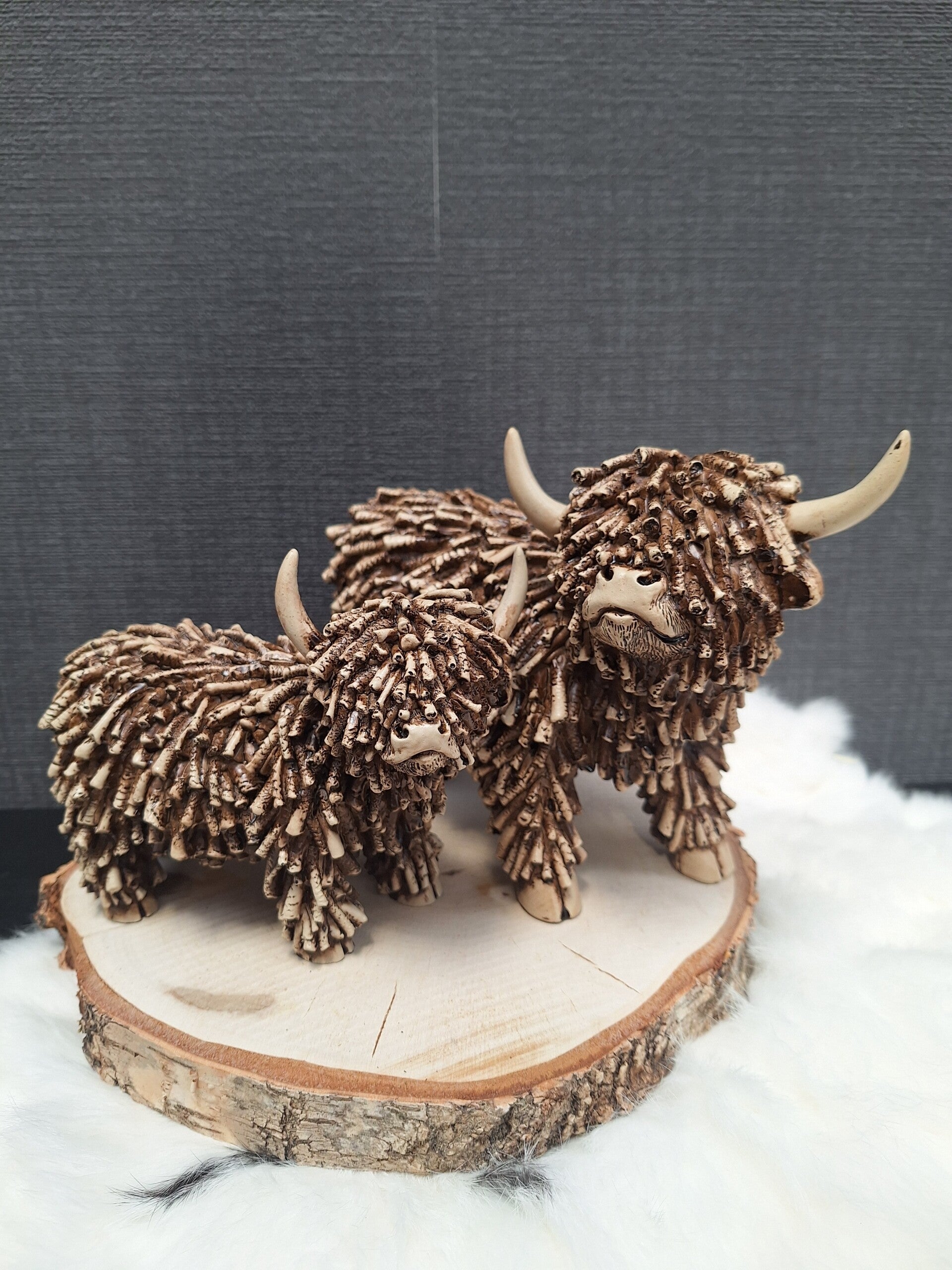 Schotse hooglanders Dorkas | Bruin | S en M