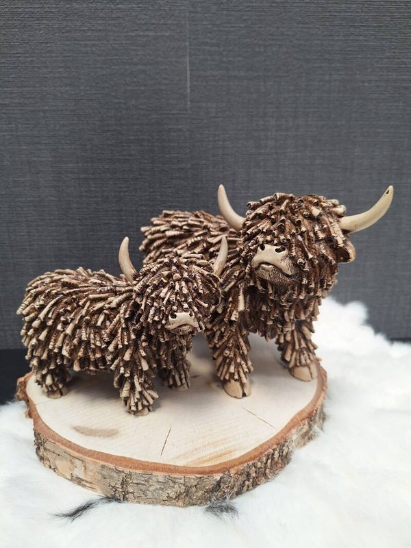 Schotse hooglanders Dorkas | Bruin | S en M