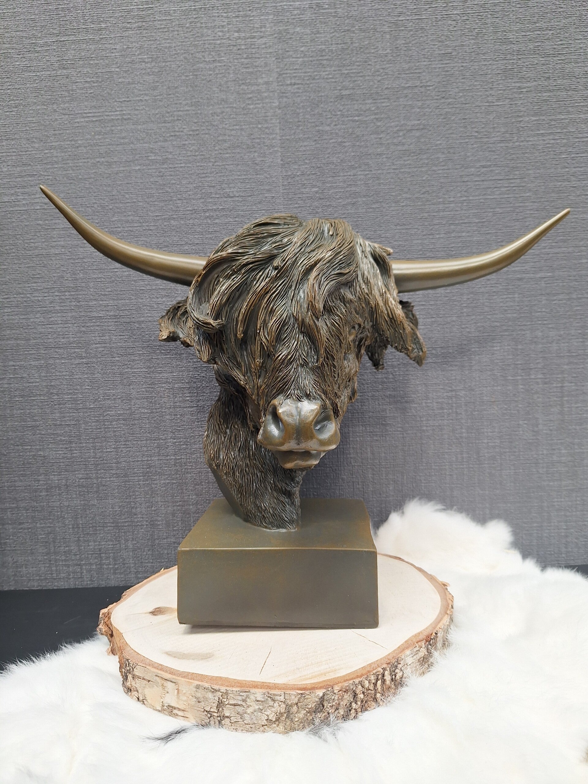Countryfield Schotse hooglander Dorkas | Bruin
