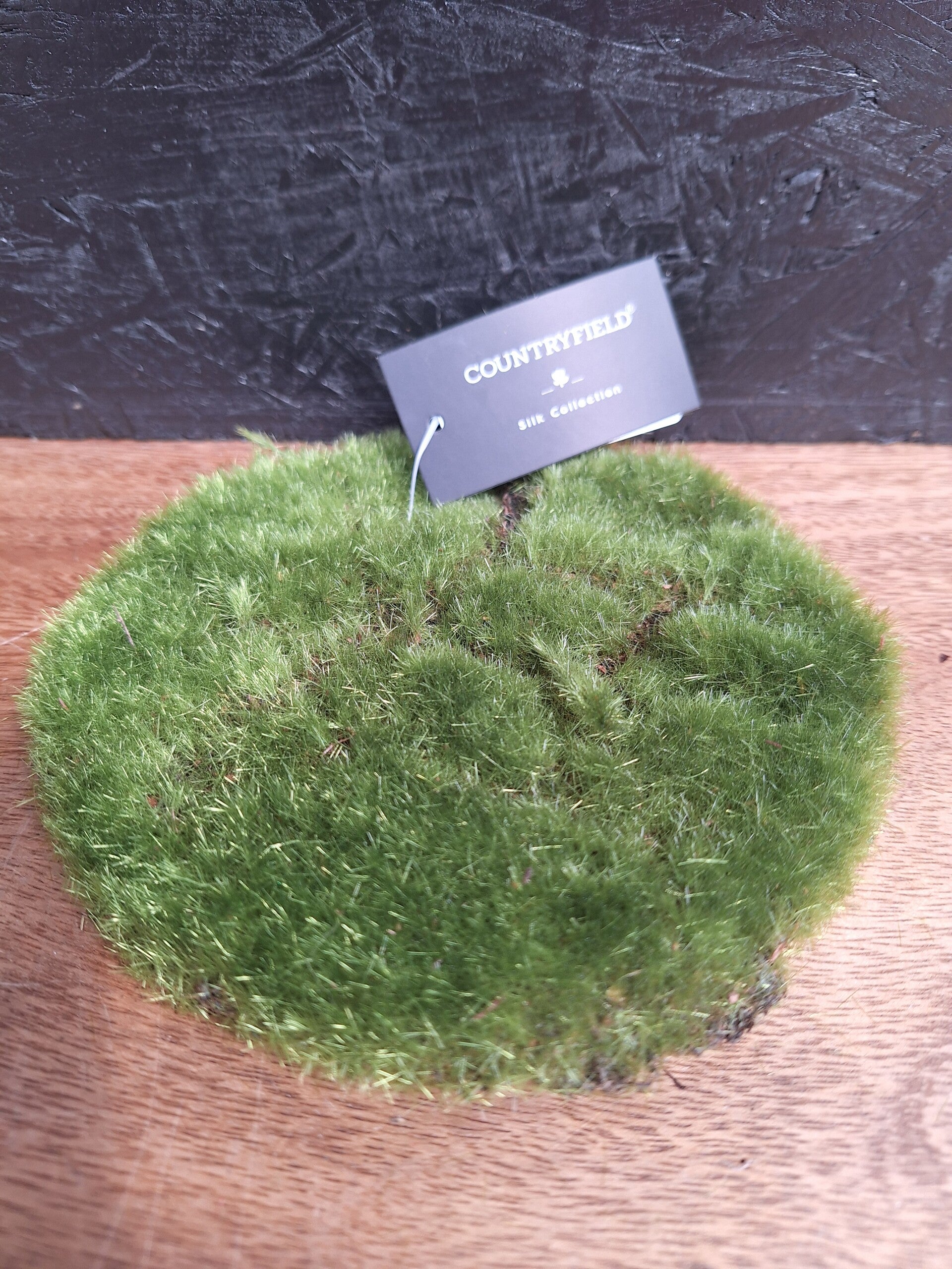 Mosschijf | Groen | XS 14x14x2 cm |