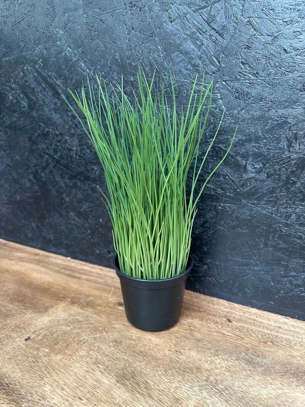 Kunstplant Gras in Zwarte Pot