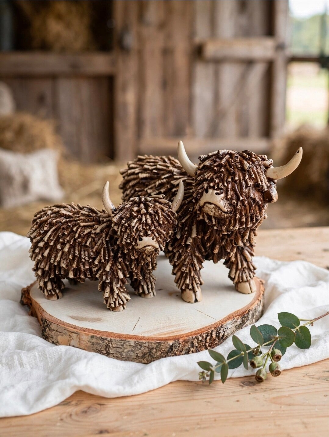 Schotse hooglanders Dorkas | Bruin | S en M