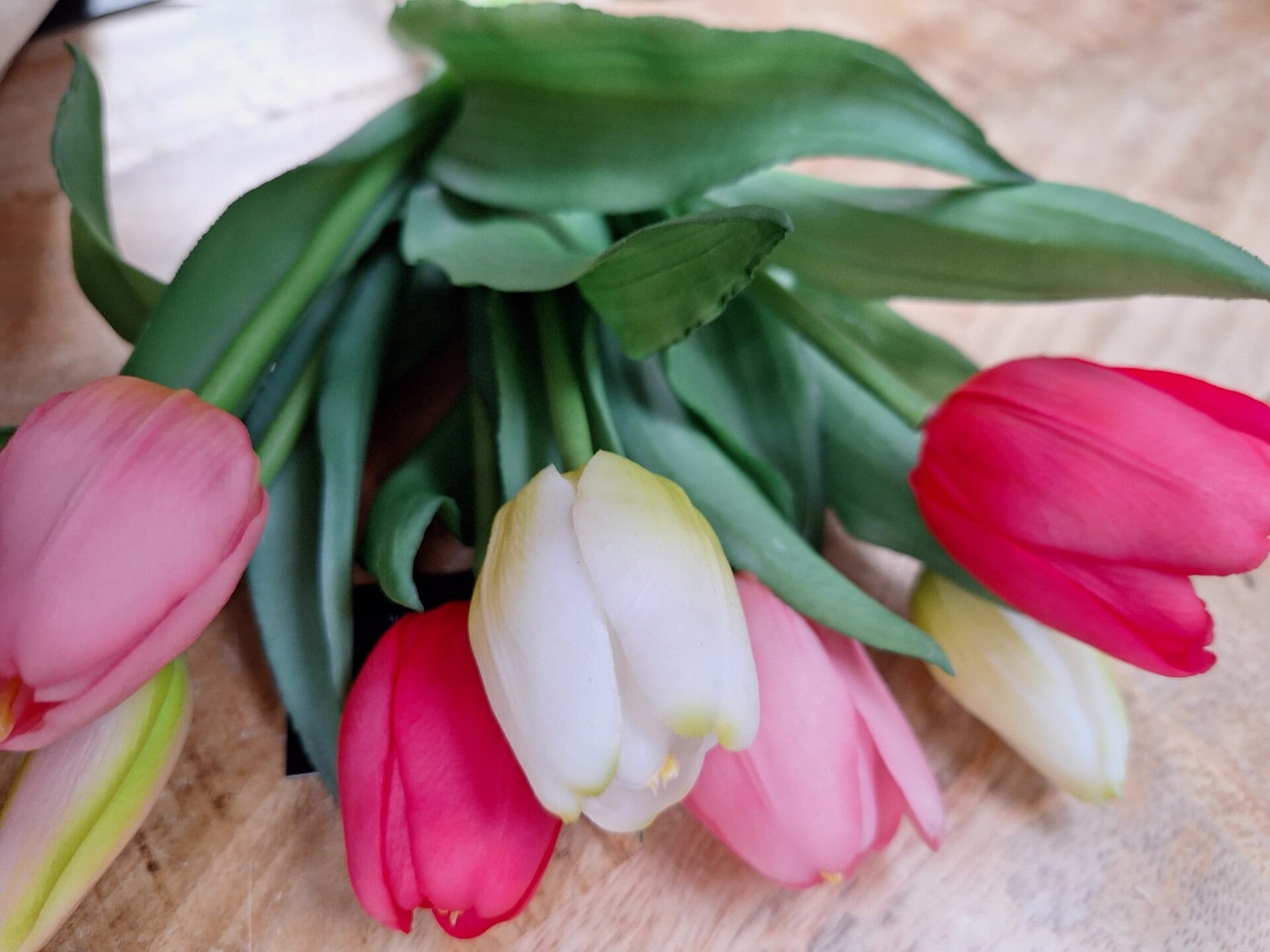 Luxe tulpen gemengd | Bos van 7 Takken