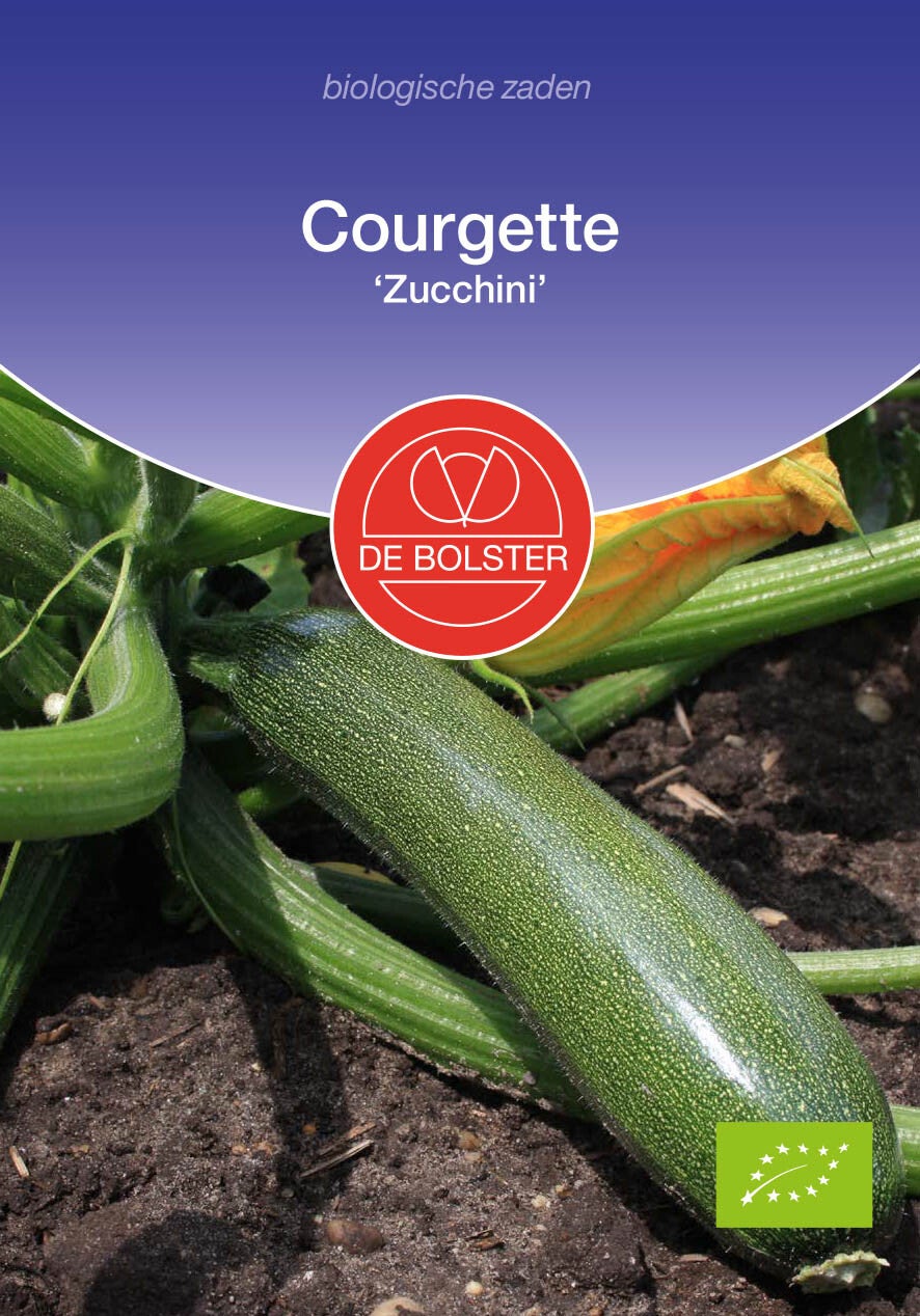 Courgette 'Zucchini' Cucurbita pepo