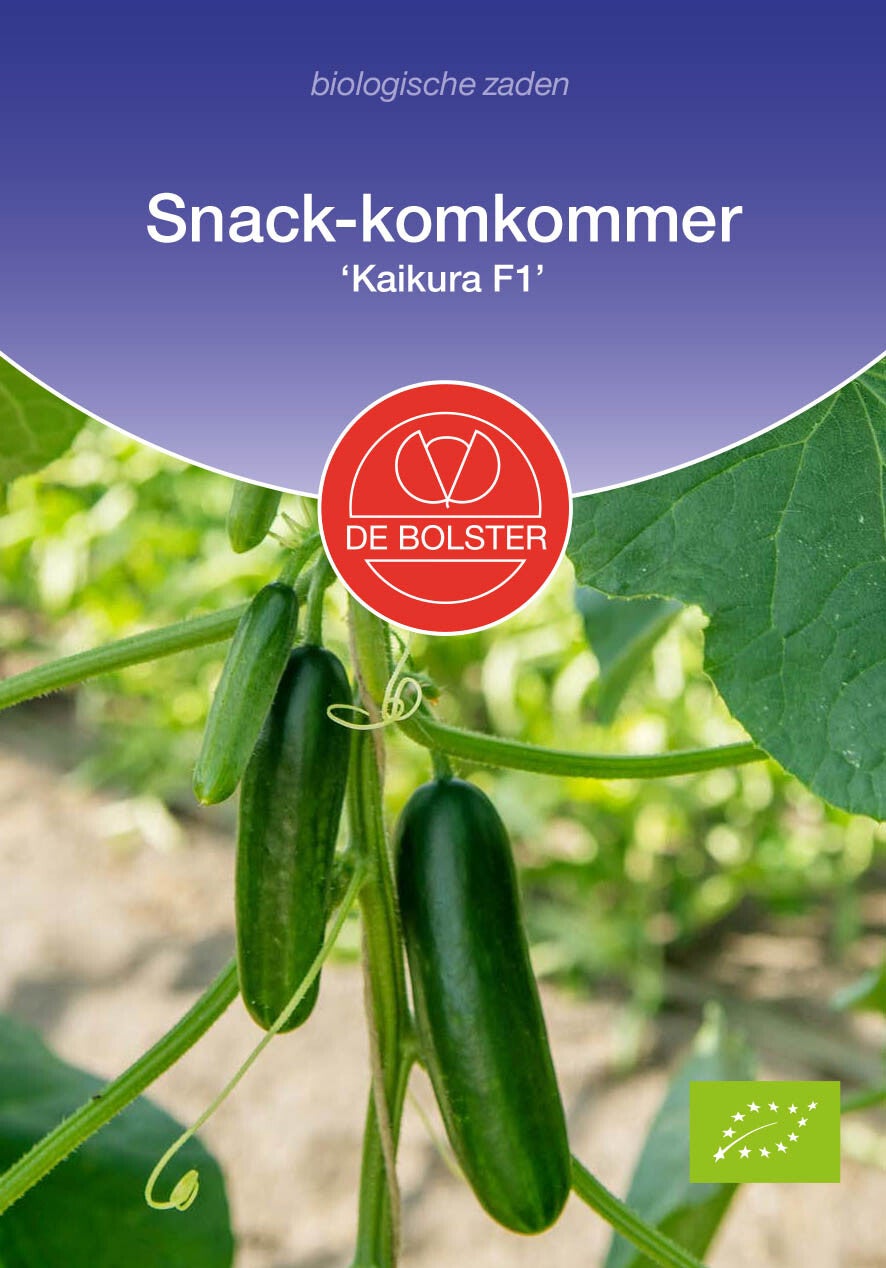Snack-komkommer 'Kaikura F1'Cucumis sativus
