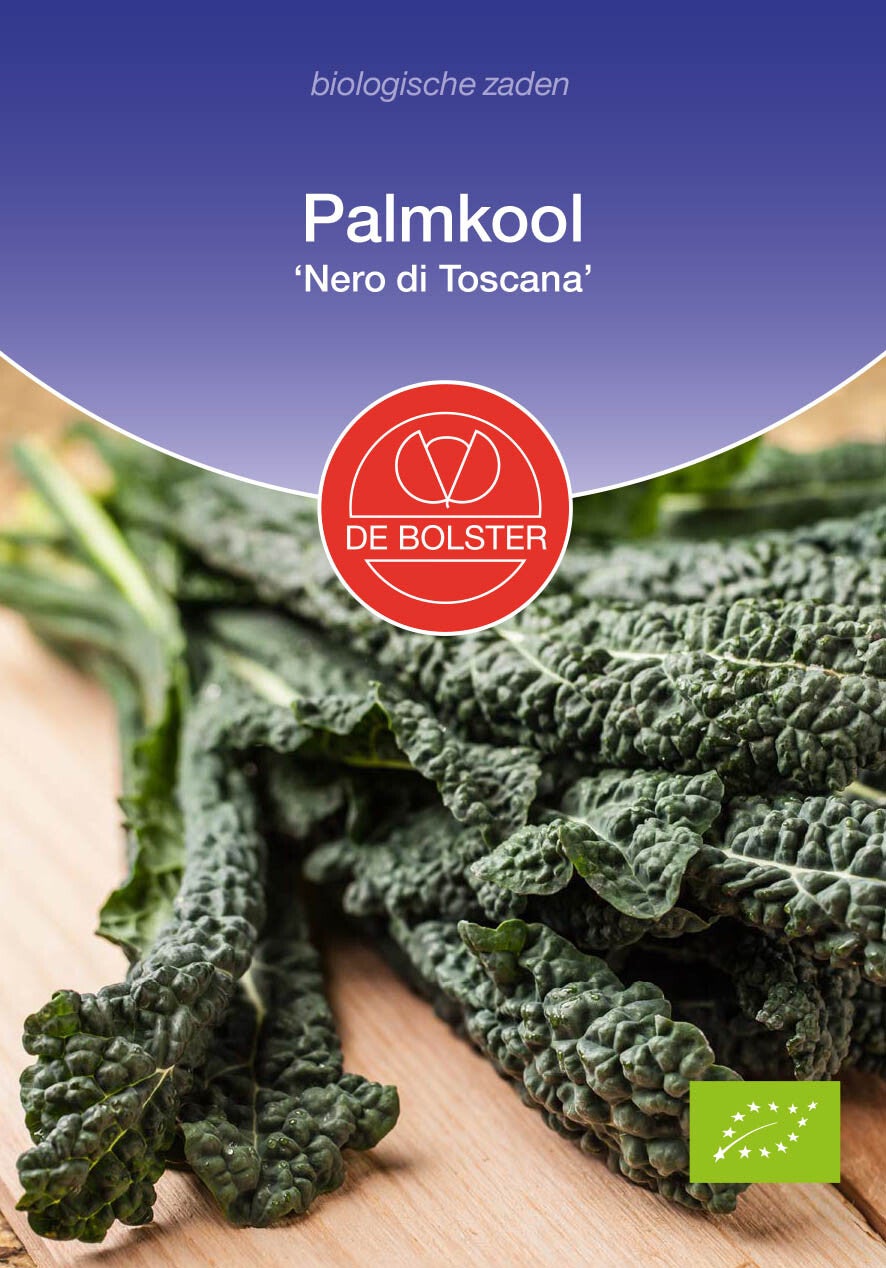 Palmkool 'Nero di Toscana' Brassica oleracea