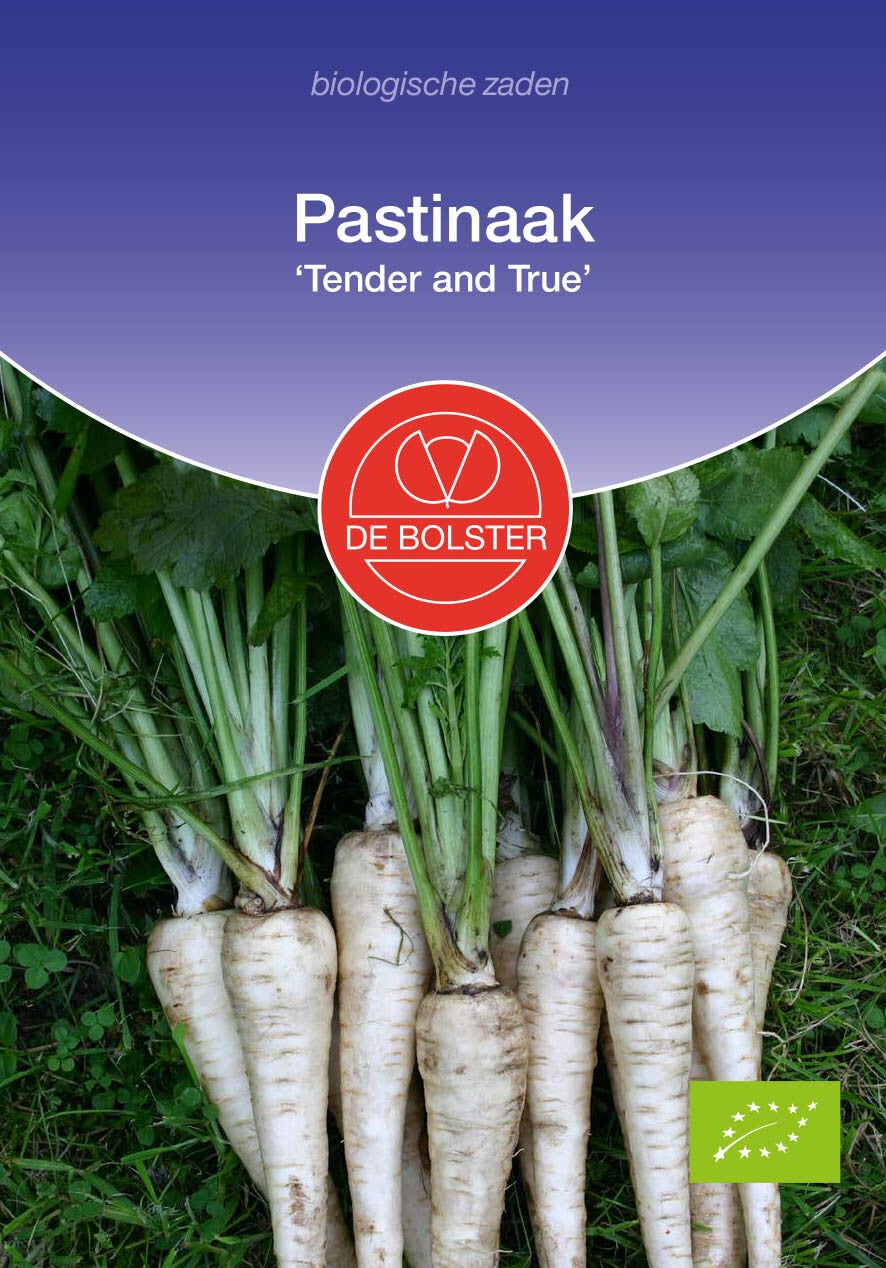 Pastinaak 'Tender and True' Pastinaca sativa