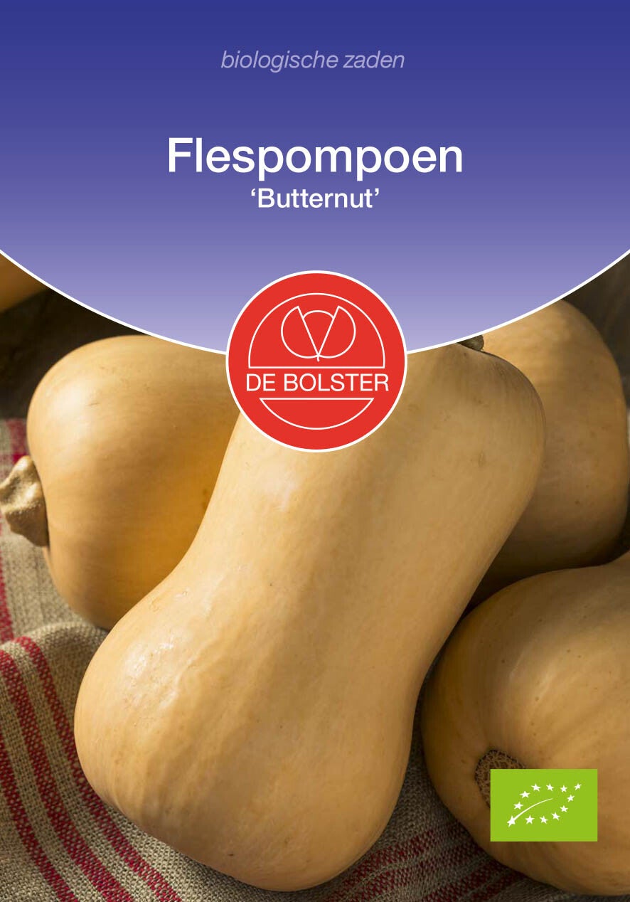 Flespompoen 'Butternut' Cucurbita moschata