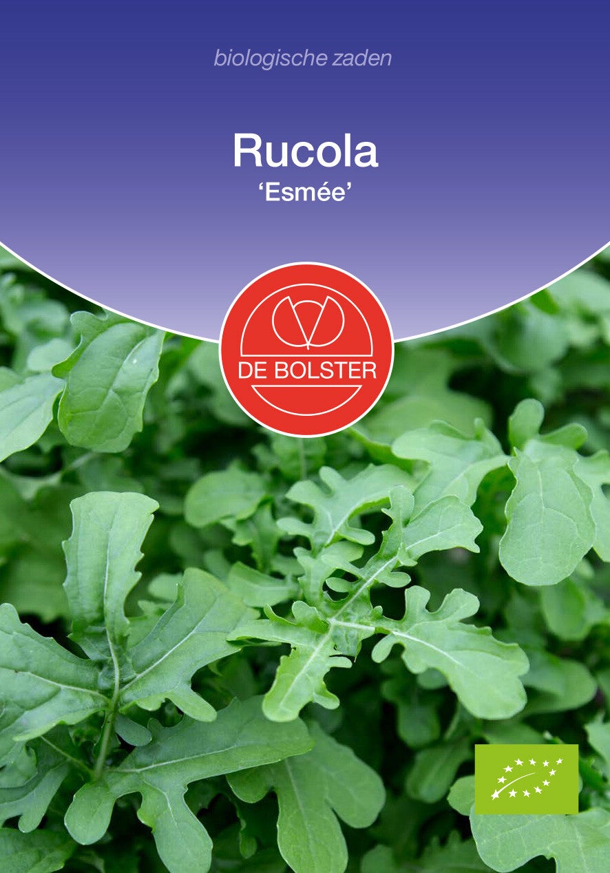 Rucola 'Esmée' Eruca sativa