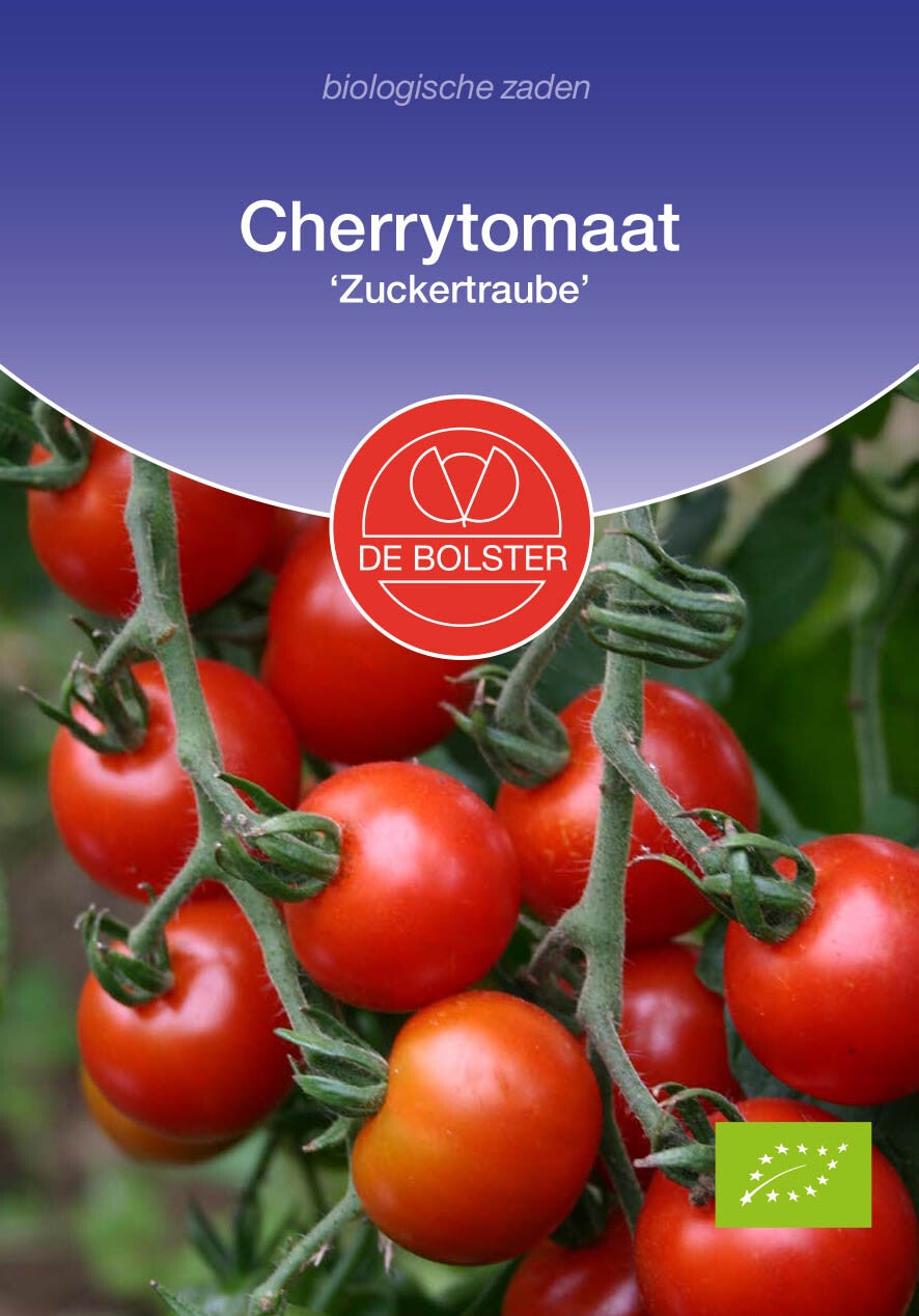 Cherrytomaat 'Zuckertraube' Solanum lycopersicum