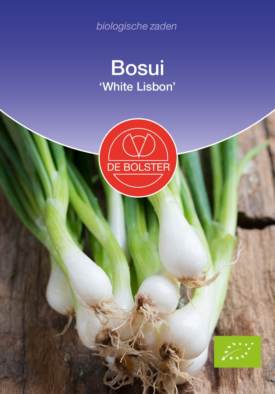 Bosui 'White Lisbon' Allium cepa