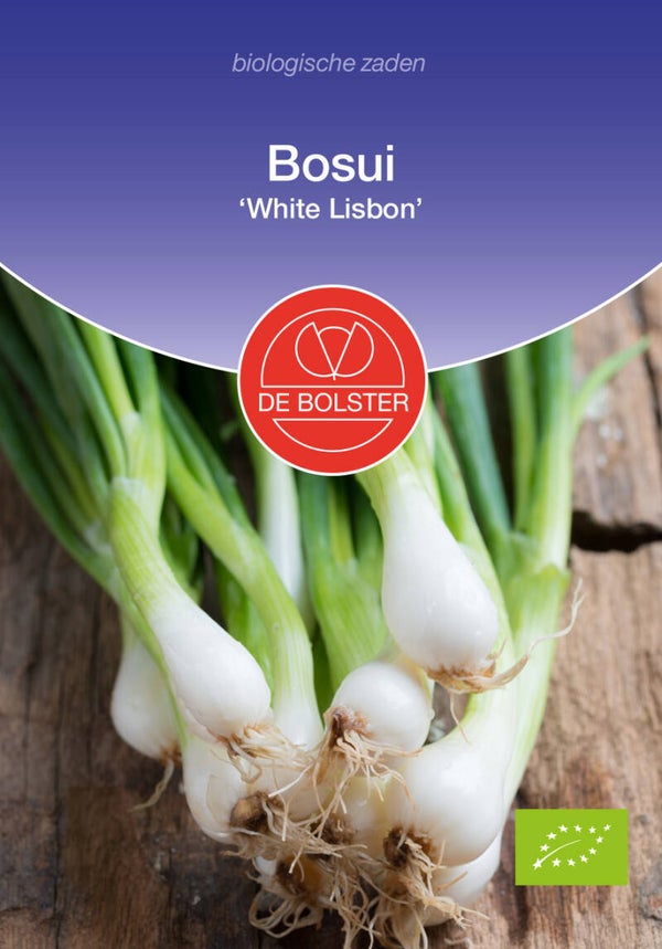 Bosui 'White Lisbon' Allium cepa
