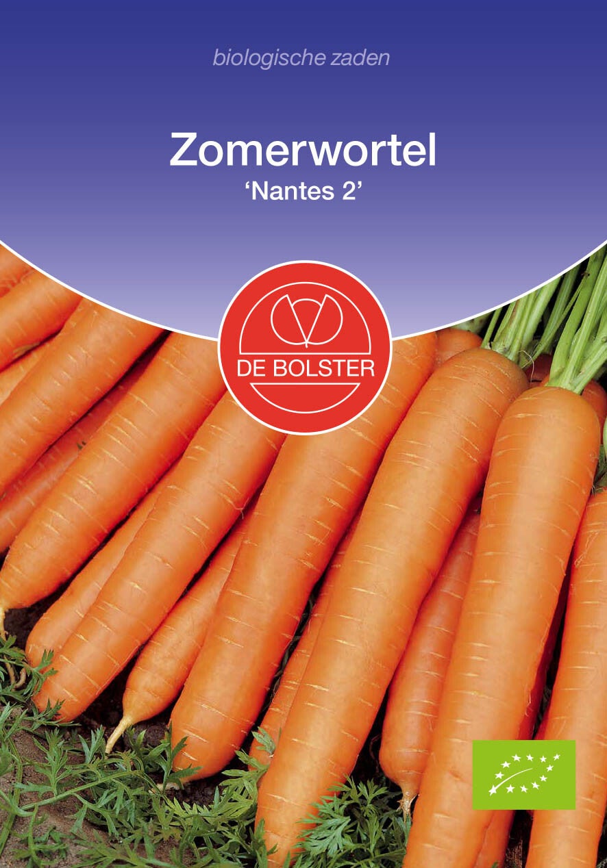 Zomerwortel 'Nantes 2' Daucus carota sativus