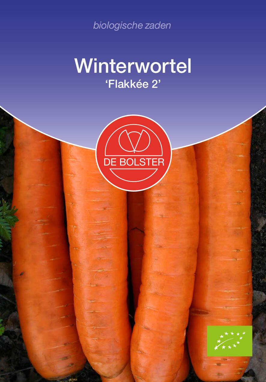 Winterwortel 'Flakkée 2' Daucus carota sativus