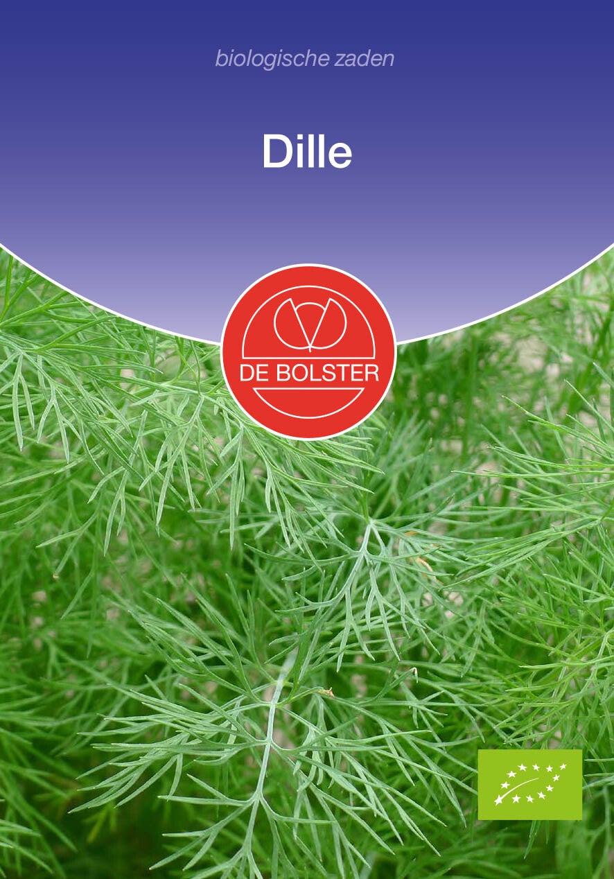 Dille Anethum graveolens