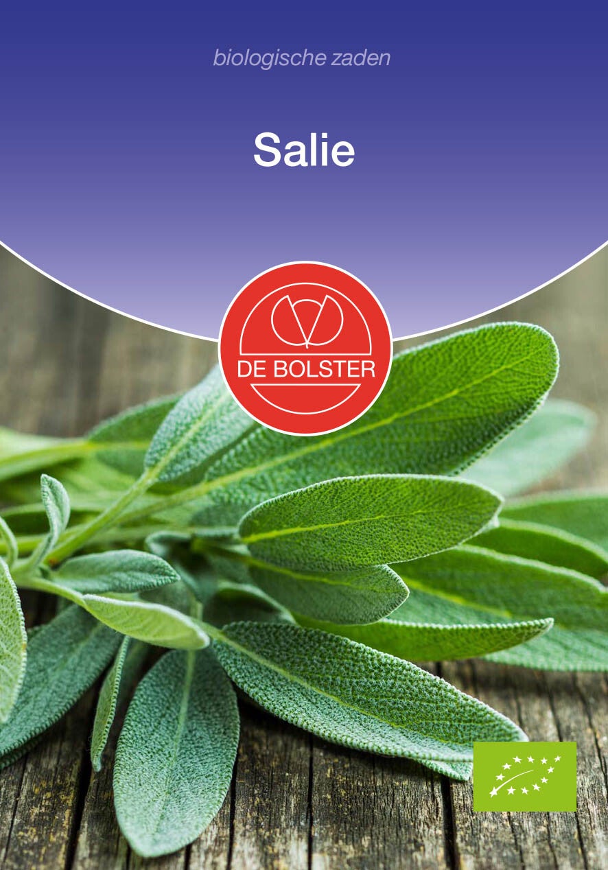 Salie Salvia officinalis