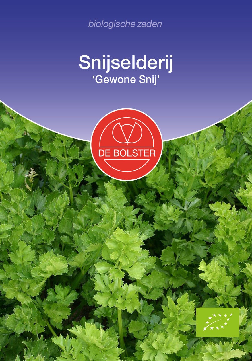 Snijselderij 'Gewone Snij' Apium graveolens