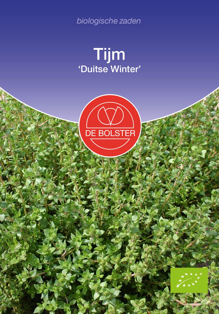 Tijm 'Duitse Winter' Thymus vulgaris