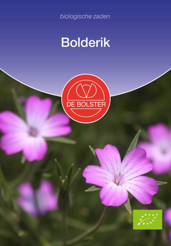 Bolderik, Agrostemma githago