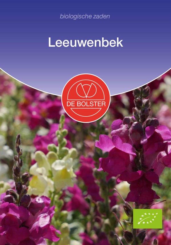 Leeuwenbek, Antirrhinum majus