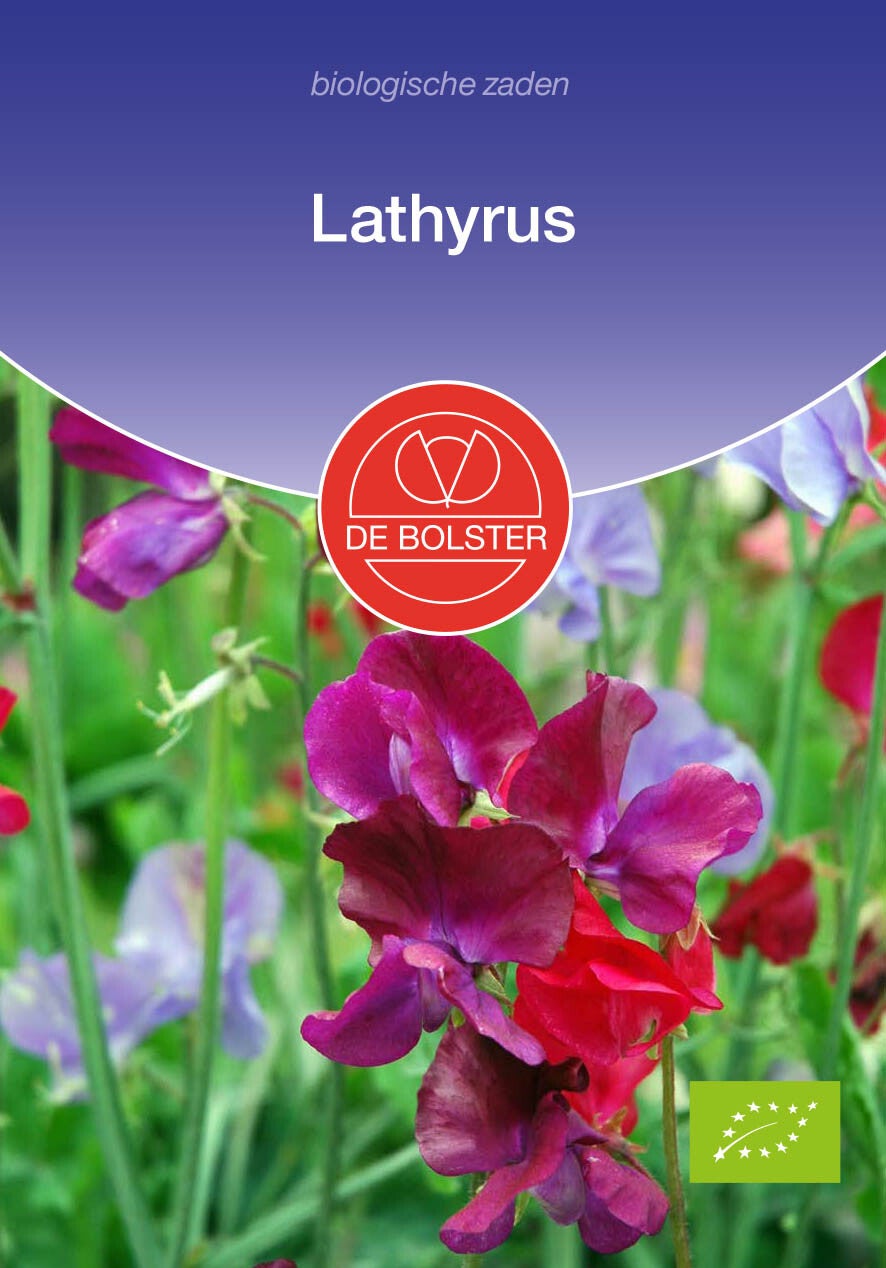 Lathyrus "Lathyrus odoratus"
