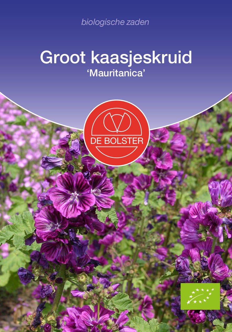 Groot kaasjeskruid 'Mauritanica' " Malva sylvestris"