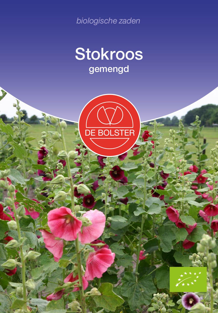 Stokroos gemengd  "Alcea rosea "