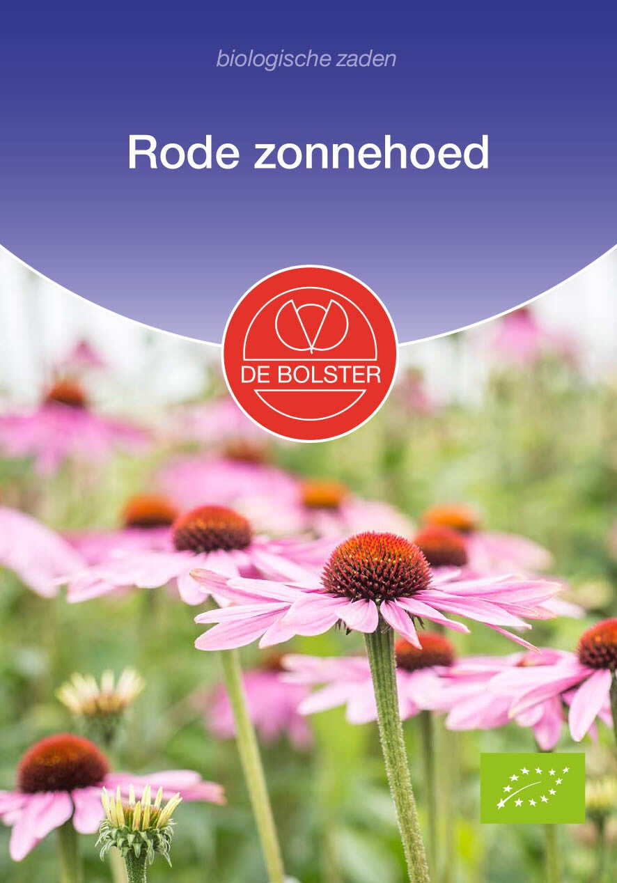 Rode zonnehoed "Echinacea purpurea"