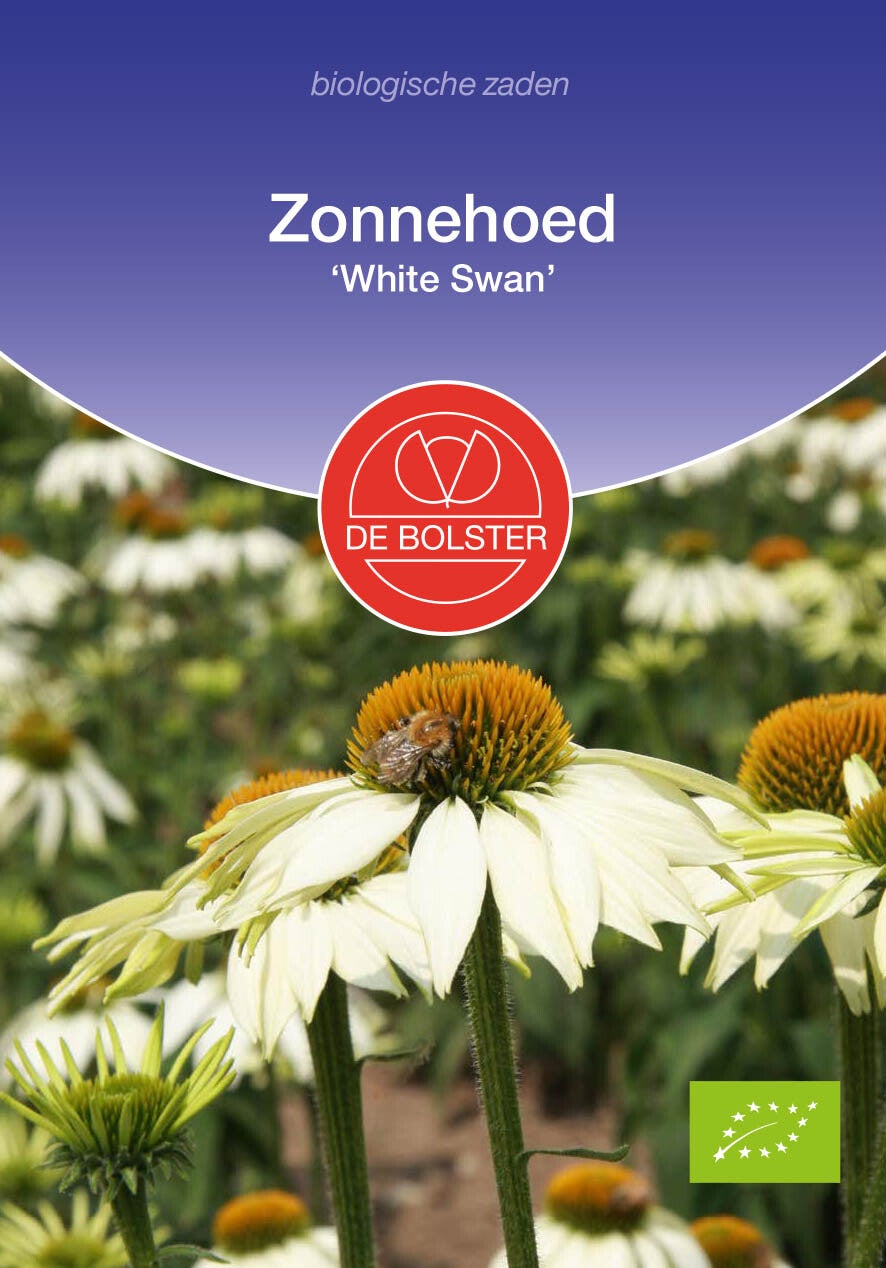 Zonnehoed 'White Swan' "Echinacea purpurea"