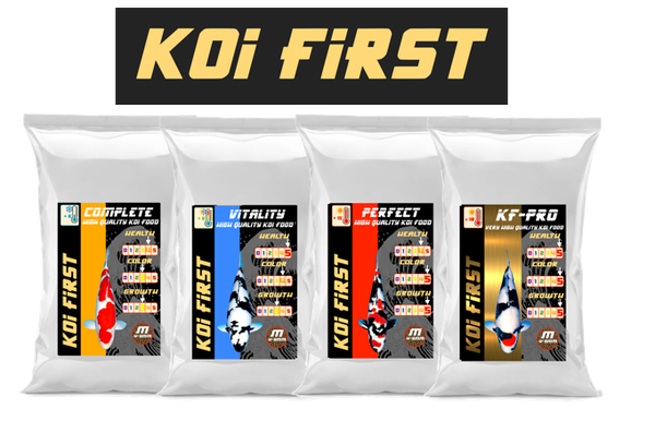 PACK 4X3 Kilos KOI FIRST